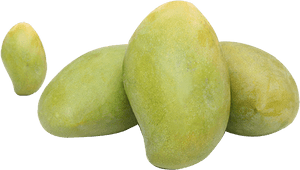 Fresh Green Mangoes Cluster PNG with transparent background