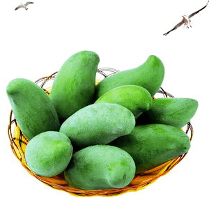 Fresh Green Mangoesin Basket PNG image with transparent background