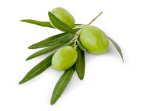 Transparent Olive Png - Olive, Png Download PNG