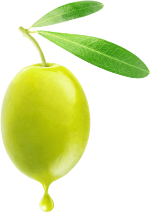 Olive Png, Transparent Png PNG with transparent background
