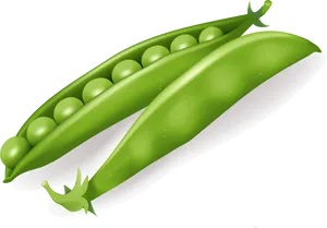 Fresh Green Pea Pod Illustration PNG Image