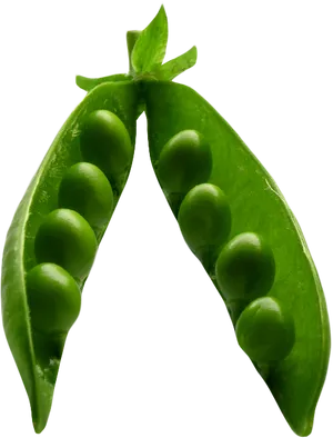 Fresh Green Pea Pod Transparent Background PNG Image