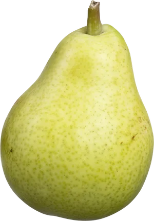 Fresh Green Pear Isolated.png PNG Image