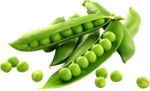 Fresh Green Peas Pods PNG Image