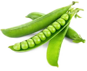 Fresh Green Peas Pods PNG Image