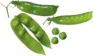 Fresh Green Peas Pods Transparent Background PNG Image