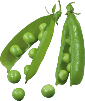 Fresh Green Peas Pods Transparent Background PNG Image