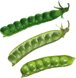 Fresh Green Peas Pods Transparent Background PNG Image