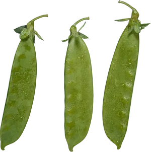 Fresh Green Peas Pods Water Droplets PNG Image