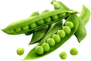 Fresh Green Peasin Pods PNG Image