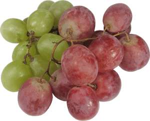 Transparent Grape, HD Png Download PNG image with transparent background