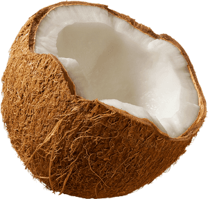 Transparent Coconut Clipart - Transparent Background Coconut Png, Png Download PNG image with transparent background