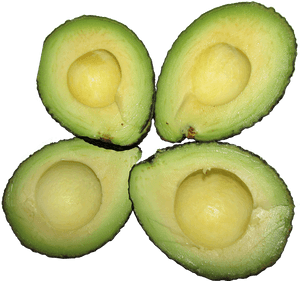 Avocado, Food, Healthy, Vegetarian, Nutrition - Avocado, HD Png Download PNG image with transparent background
