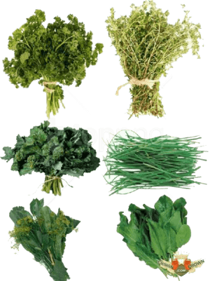Download Herb S Png Images Background - Png Herbs, Transparent Png PNG with transparent background