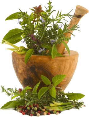 Chinese Herbs Png Image - Renuka Devi Herbal Oil, Transparent Png PNG with transparent background