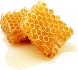 Royal Jelly Honey Png, Transparent Png PNG with transparent background