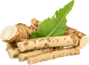 Fresh Horseradish Rootsand Leaf PNG with transparent background