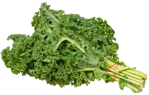 Fresh Kale Bunch.png PNG Image