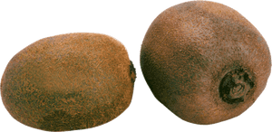 Download And Use Kiwi Png, Transparent Png PNG with transparent background