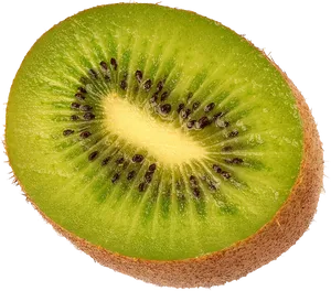 Fresh Kiwi Slice Closeup.png PNG Image