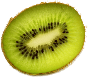 Download Kiwi Free Download Png - Kiwi Png, Transparent Png PNG with transparent background