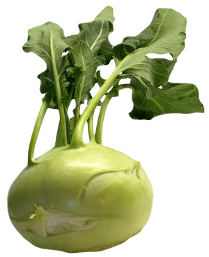 Fresh Kohlrabi Vegetable.png PNG image with transparent background