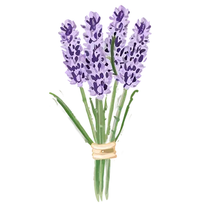 Fresh Lavender Bunch Png Muw8 PNG Image