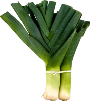 Fresh Leeks Bundle.png PNG Image