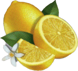 ##lemon #lemonade #beyonce #beyoncé #beyonceknowles - Dibujo De Una Lima Fruta, HD Png Download PNG