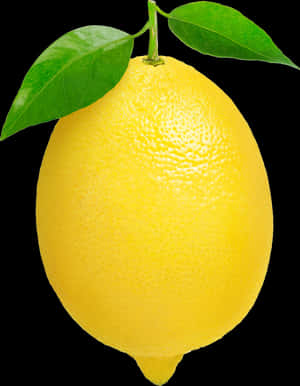 Fresh Lemonwith Leaves PNG image with transparent background