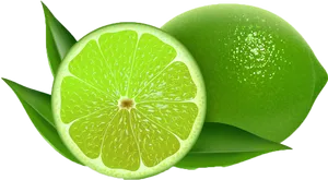 Fresh Limeand Slice PNG Image