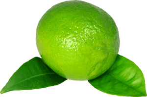 Lime Png Image - Green Lemon High Resolution, Transparent Png PNG image with transparent background
