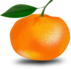 Fresh Mandarin Orange Illustration PNG Image