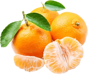 Fresh Mandarin Oranges With Leaves PNG Image