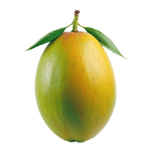 Fresh Mango PNG 05232024 PNG