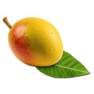 Fresh Mango PNG osv PNG