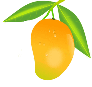 Fresh Mango With Dew Drops Illustration PNG with transparent background