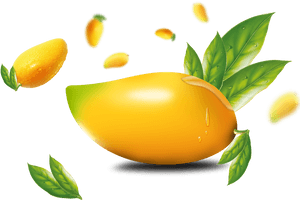 Fresh Mango With Water Dropletsand Leaves PNG with transparent background