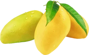Fresh Mangoes With Dew Drops PNG Image