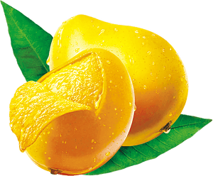 Fresh Mangoes With Dew Drops PNG with transparent background