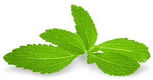 Fresh Mint Leaves Isolated PNG with transparent background