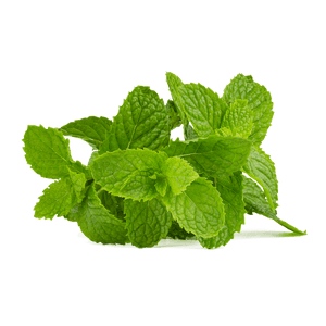 Fresh Mint Leaves Isolated.png PNG image with transparent background