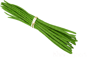 Image01 - Drumstick Vegetable Clipart, HD Png Download PNG image with transparent background