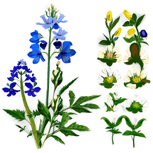 Fresh Morning Wildflowers PNG 35 PNG with transparent background