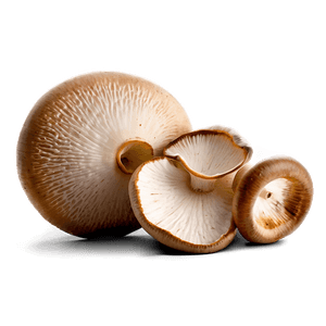 Fresh Mushrooms PNG  ine78 PNG image with transparent background