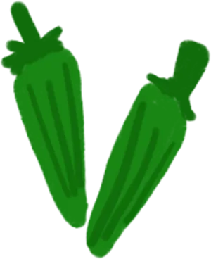 Fresh Okra Illustration PNG Image