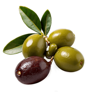 Fresh Olive Fruit PNG 96 PNG image with transparent background