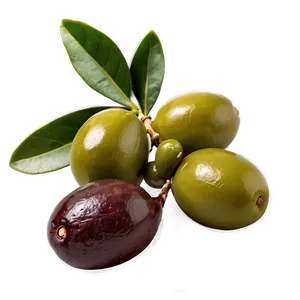 Fresh Olive Fruit Png 96 PNG Image