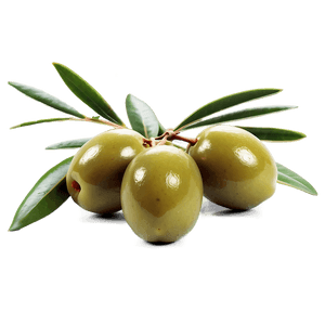 Fresh Olive Fruit PNG hpl46 PNG image with transparent background