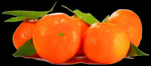 Fresh Orangeson Black Background PNG image with transparent background